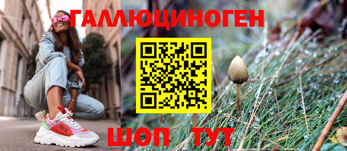 Псилоцибиновые грибы мухоморы  как найти   Владивосток  Галлюциногенные грибы мицелий  Вход с VPN 