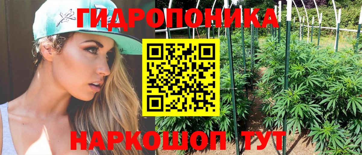 Канабис SATIVA & INDICA  Бошки Шишки конопля  Владивосток  Вход с VPN 