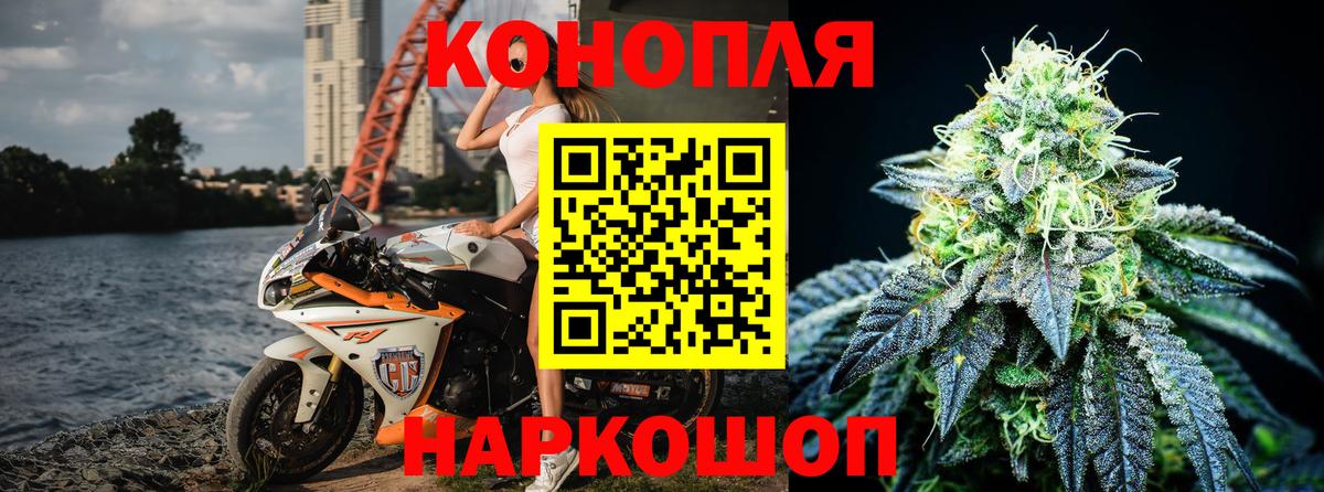 Бошки марихуана план Владивосток